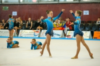 © ВФЭГ (RFAG)