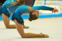 © ВФЭГ (RFAG)