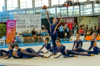 © ВФЭГ (RFAG)
