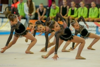 © ВФЭГ (RFAG)