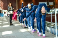 © ВФЭГ (RFAG)