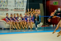 © ВФЭГ (RFAG)