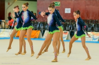 © ВФЭГ (RFAG)