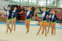 © ВФЭГ (RFAG)