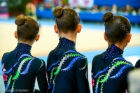 © ВФЭГ (RFAG)