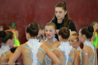 © ВФЭГ (RFAG)