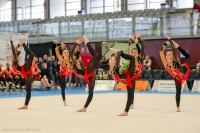 © ВФЭГ (RFAG)