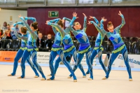 © ВФЭГ (RFAG)