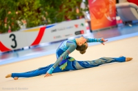 © ВФЭГ (RFAG)