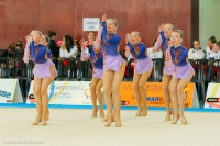 © ВФЭГ (RFAG)