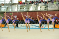 © ВФЭГ (RFAG)