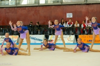 © ВФЭГ (RFAG)