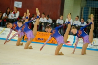 © ВФЭГ (RFAG)