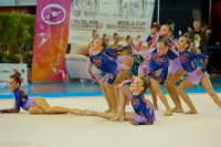 © ВФЭГ (RFAG)