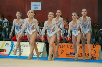 © ВФЭГ (RFAG)