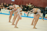 © ВФЭГ (RFAG)