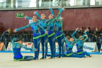 © ВФЭГ (RFAG)
