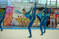 © ВФЭГ (RFAG)
