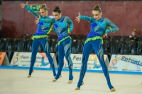 © ВФЭГ (RFAG)
