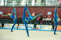 © ВФЭГ (RFAG)