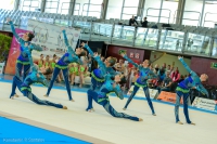 © ВФЭГ (RFAG)