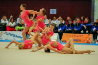 © ВФЭГ (RFAG)