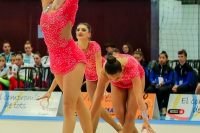 © ВФЭГ (RFAG)