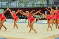 © ВФЭГ (RFAG)