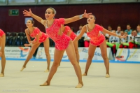© ВФЭГ (RFAG)