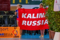 © ВФЭГ (RFAG)