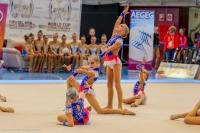 © ВФЭГ (RFAG)
