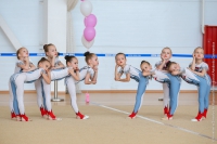 © ВФЭГ (RFAG)
