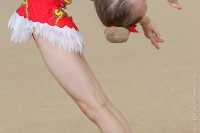 © ВФЭГ (RFAG)
