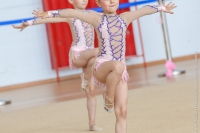 © ВФЭГ (RFAG)