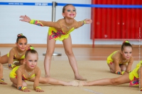 © ВФЭГ (RFAG)