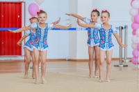 © ВФЭГ (RFAG)