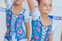 © ВФЭГ (RFAG)
