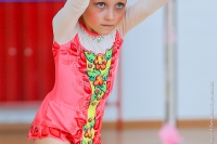 © ВФЭГ (RFAG)