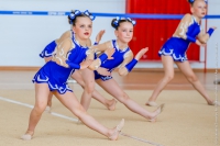 © ВФЭГ (RFAG)