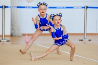 © ВФЭГ (RFAG)