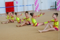 © ВФЭГ (RFAG)