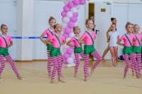© ВФЭГ (RFAG)