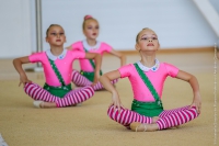 © ВФЭГ (RFAG)