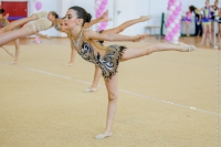 © ВФЭГ (RFAG)