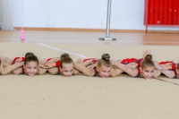 © ВФЭГ (RFAG)