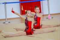 © ВФЭГ (RFAG)