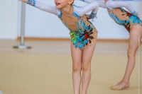 © ВФЭГ (RFAG)