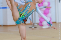 © ВФЭГ (RFAG)