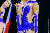 © ВФЭГ (RFAG)