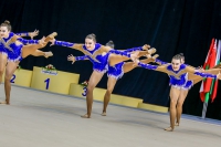 © ВФЭГ (RFAG)